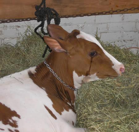 375959_10151399121499466_1205525703_n