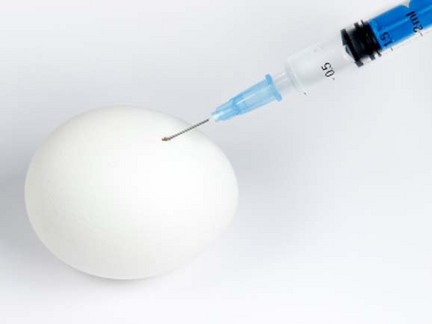 InjectingEgg
