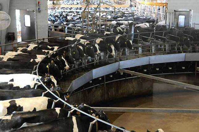 10334362_271944329645216_2398728743832863868_n