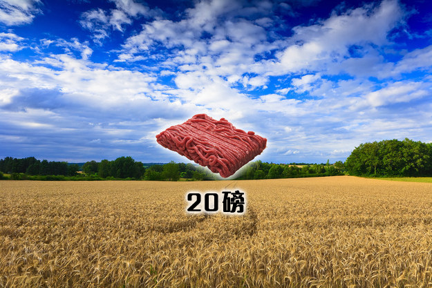 enhanced-buzz-16587-1401239180-8