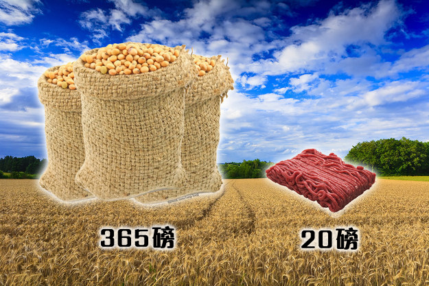 enhanced-buzz-21040-1401239243-20