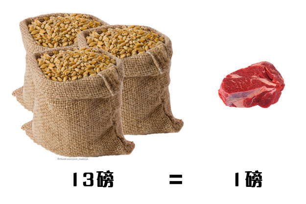 enhanced-buzz-4735-1401238644-27