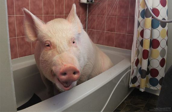 2014-04-15-Esther7-thumb