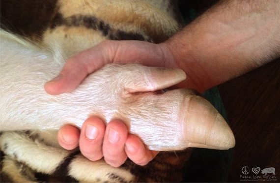 2014-04-15-Esther8-thumb