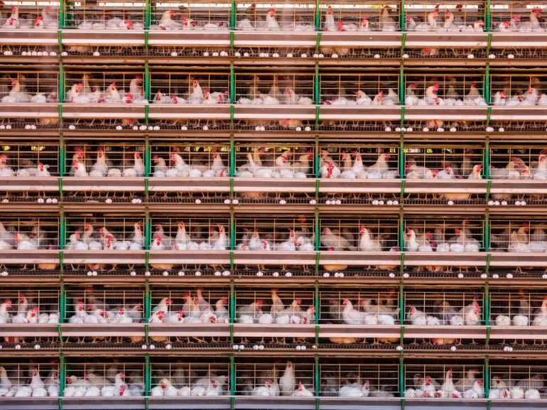 steinmetza2-1024x768