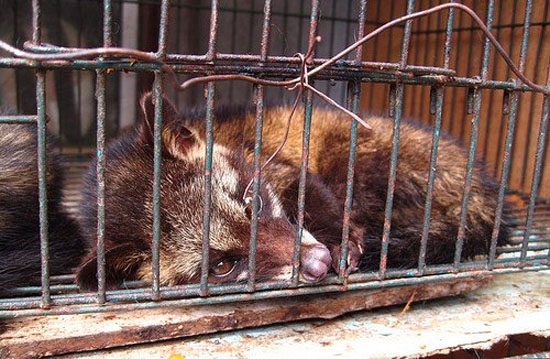 500xNx12475191554_8bef572aa2.jpg.pagespeed.ic.8O7kUcBwil