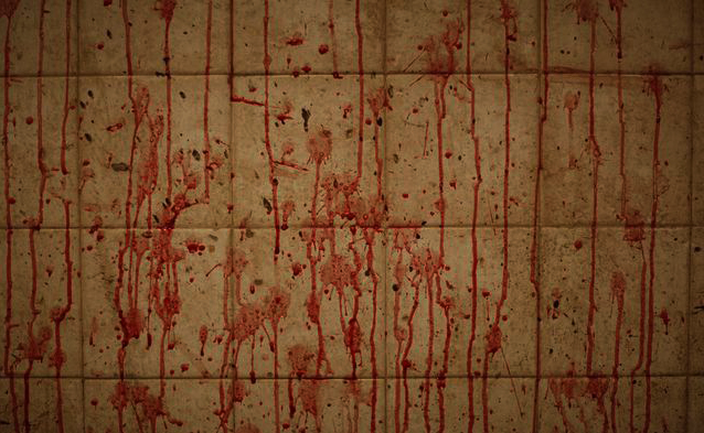 pakistan-slaughterhouse-2009-9-1-6-10-37