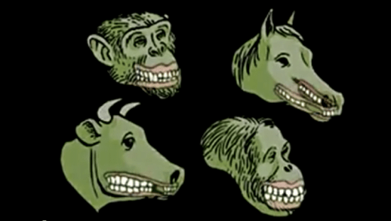 Screen Shot 2014-07-25 at 2.54.53 pm