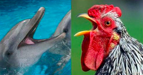 Screen Shot 2014-09-04 at 3.51.46 pm