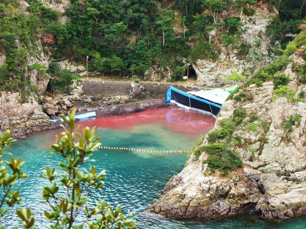 tumblr_msq0nsmZDr1ssulhno2_1280