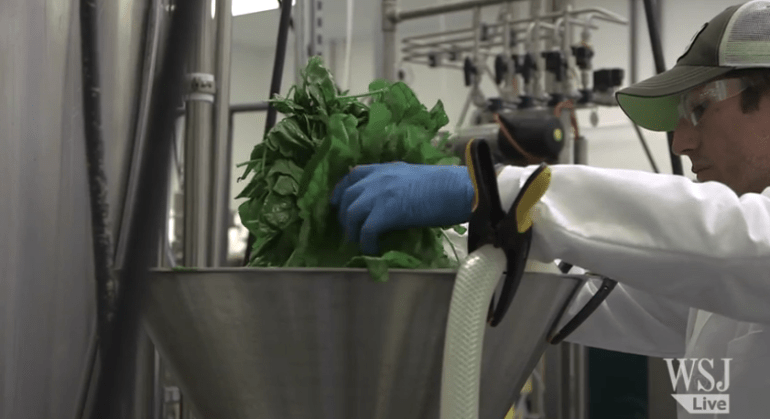 Screen Shot 2014-10-10 at 3.39.42 pm