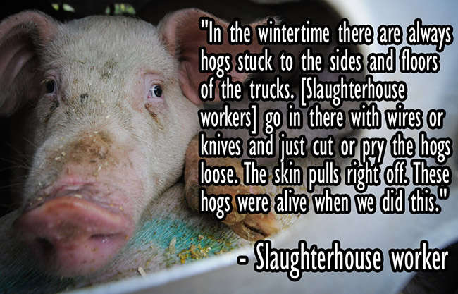 wa-transport-quote-2