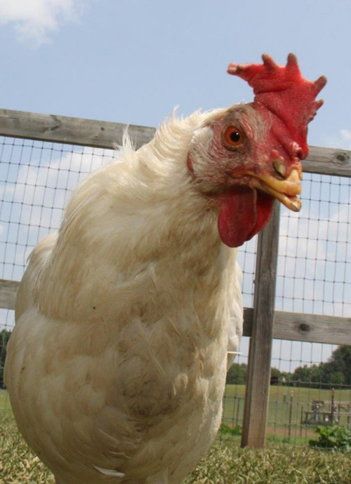 xIMG_0275-e1423132295551