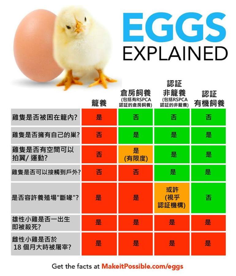 11119693_10206267705311593_1207862356_n