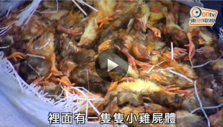 Screen Shot 2017-05-26 at 2.46.27 PM