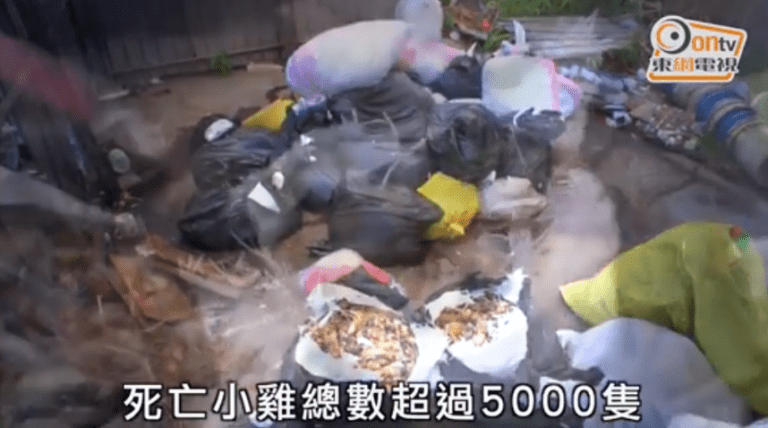 Screen Shot 2017-05-26 at 3.00.14 PM