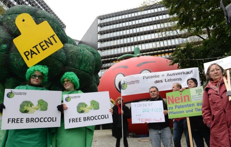 tomato-patent-protest