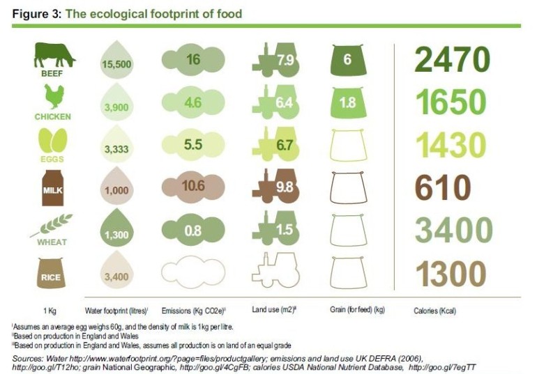 Ecological-footprint-of-food3