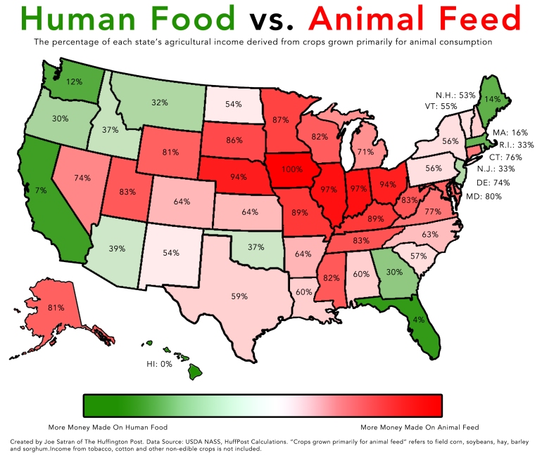 human food animal feed