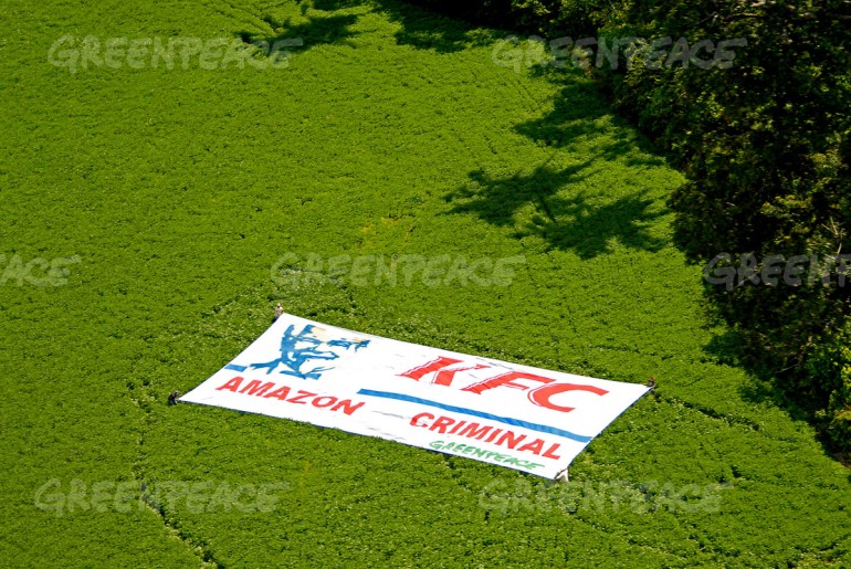 May 17th 2006. Santarem (Amazon, Para State, Brazil). Activists deployed a banner in a soya plantation near Santarem to protest against Kentucky Fried Chicken who uses chicken fed with Amazon soya sold by Cargill in their stores. The expansion of soya is